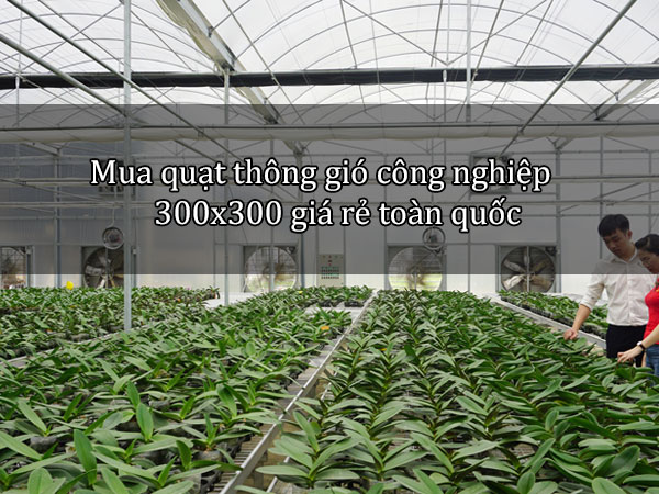 Mua-quat-thong-gio-cong-nghiep-300x300-gia-re